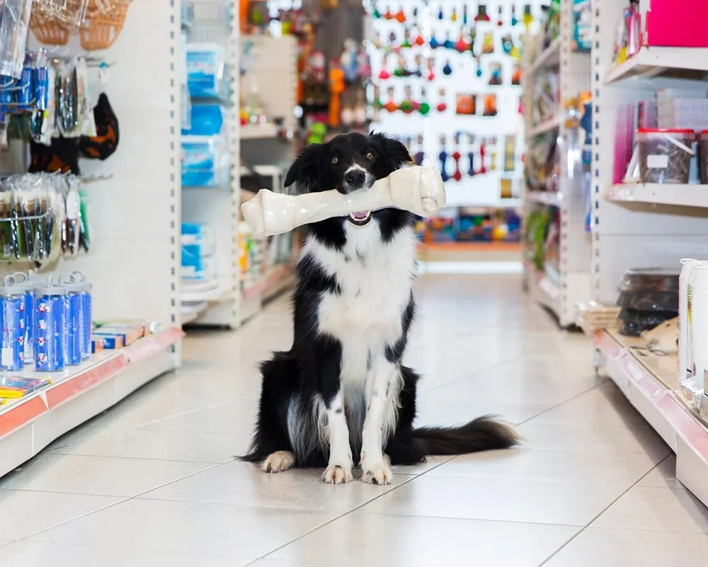 ร้านอาหารและเครื่องใช้สัตว์เลี้ยง